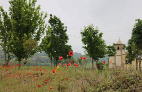 Foresto Case Vacanza - Foto 30