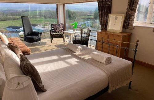 Cambrian View - Photo 45