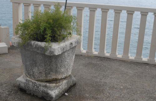 Apartments Ivica Mateljak - Foto 18