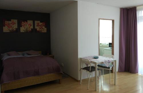 HAUSBURG studio. City view - Foto 12