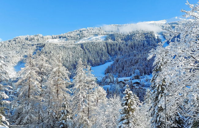 Schubert-Franz Top 12 - Foto 48