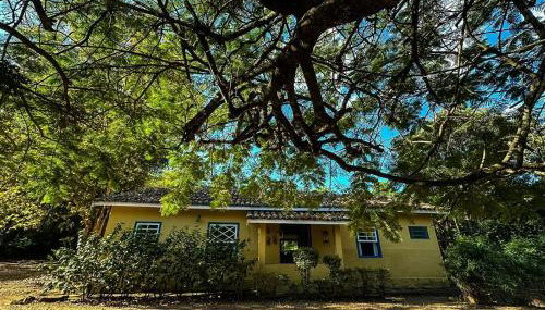 Fazenda Santa Thereza - Itapira - Foto 4, Garden