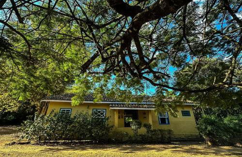 Fazenda Santa Thereza - Itapira - Foto 4