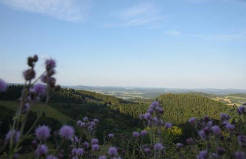 Ferienhaus Giebelei - Foto 27