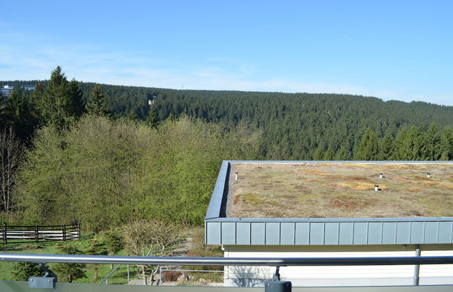 Apartment Ohragrund Oberhof - Foto 21