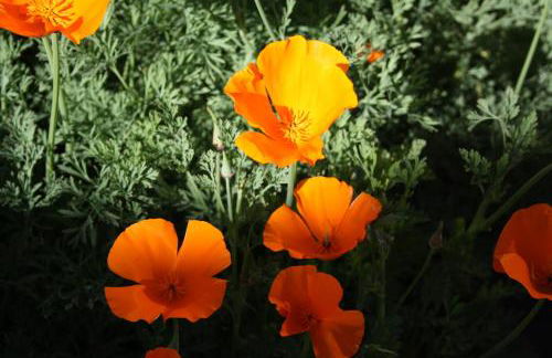 Casa Rural Mimbrero - Foto 22