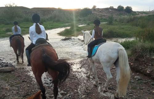 El laurel y el limonero. - Foto 40