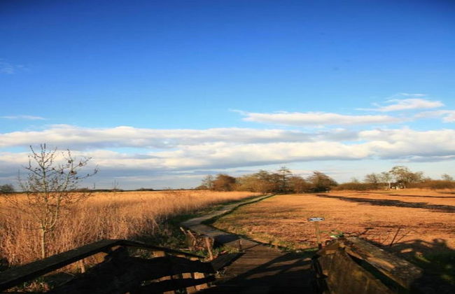Canal-side Stay, Giethoorn - Photo 31