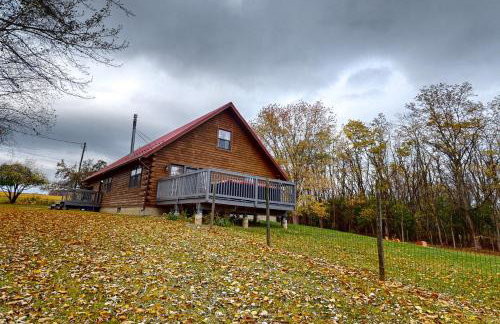 Modern Log Cabin with Vineyard Views - Foto 37