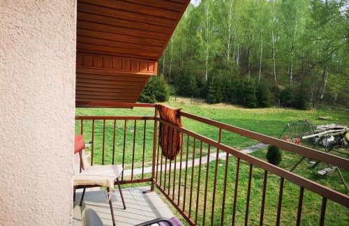 Agroturystyka w Dolinie Narwi - Photo 60