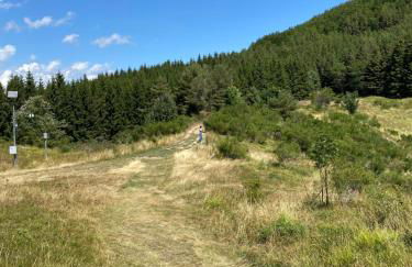 Ca’ Alba - Photo 37