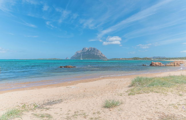 Il Vecchio Faro A37 150m From The Beach - Photo 23