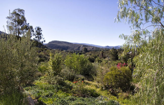 Kogman and Keisie Guest Farm - Foto 54