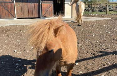 Agriturismo cergallina - Photo 38