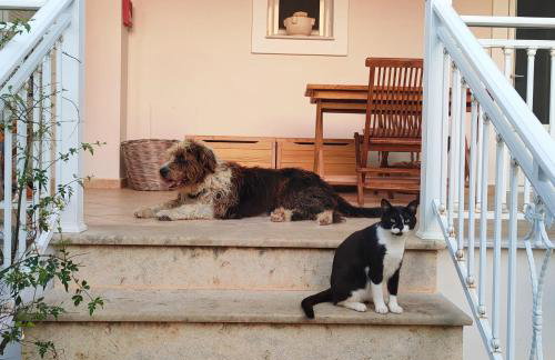 KALAMIES - Secluded Beach Apartments - Foto 46