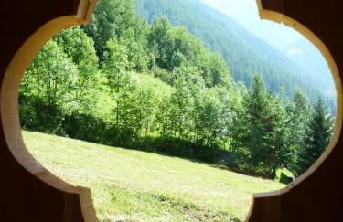 Maso Fior di Bosco - Val di Rabbi - Esercizio Rurale - Foto 69