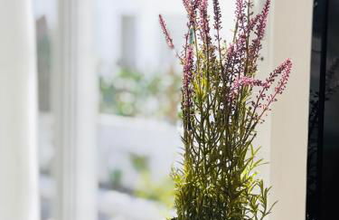 La Casita de la Parra, El Hierro - Foto 11