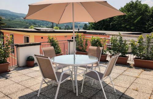 Rose e Tulipani - Foto 15