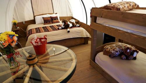 Gorgeous Nature Getaways in this Wonderful Covered Wagon Rental for 4 in Moore, Oklahoma - Foto 3