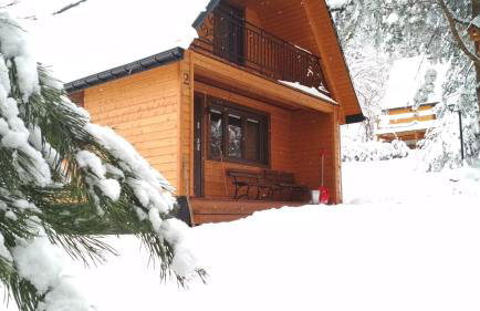 Reset Bieszczady - Foto 30