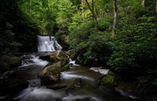 Dragon's Nest Cabin with Mountain Views - Foto 46