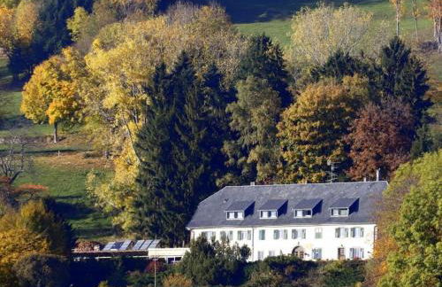 Maison familiale à Orbey, 3 chambres, parking privé, espace vert, jeux pour enfants - FR-1-744-26 - Foto 10