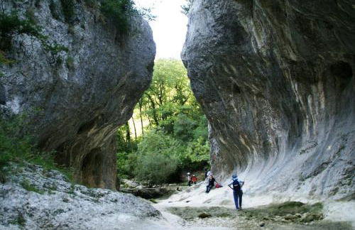 Gite des oliviers - Foto 33