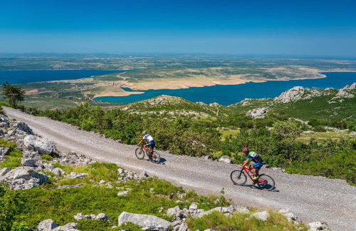 Apartmant Shine Luxury - Photo 26