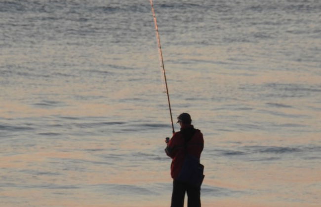 Albatross North Apartments - Photo 72