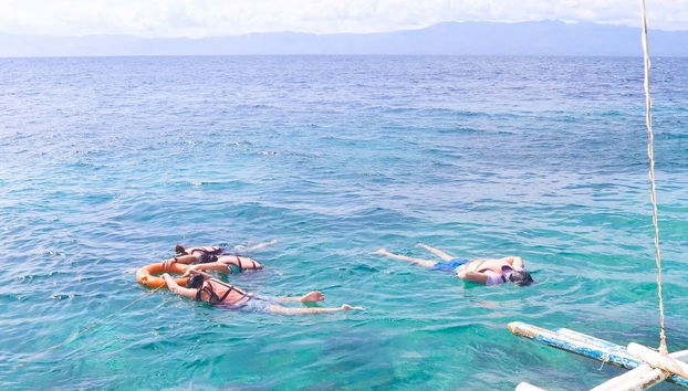 Faire du snorkeling à Moalboal