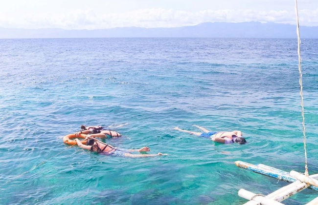 Snorkel en Moalboal - Foto 3