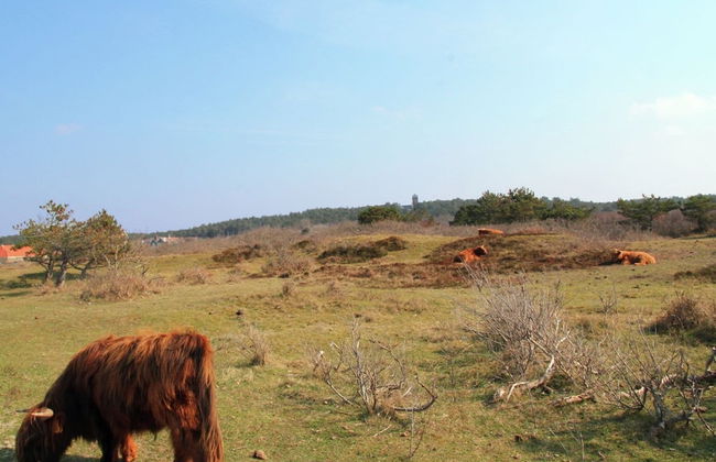 Holiday Home in Bergen Near Forests - Foto 8