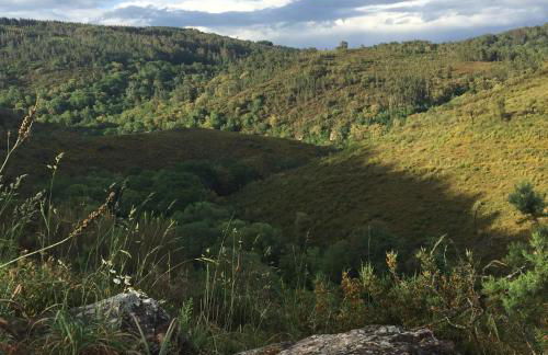 O Muíño da Balsiña - Foto 41