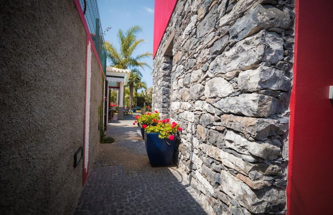 Quinta da Tia Briosa Palheiro I by Homie - Foto 24