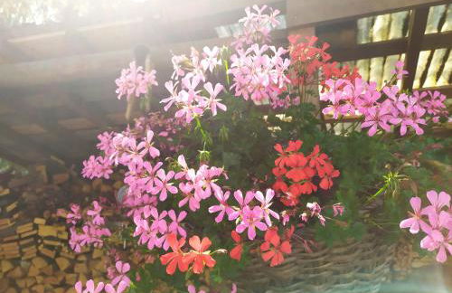 Residence Marmolada - Foto 48