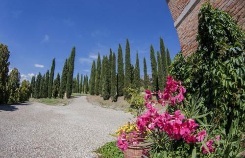 Agriturismo Sant'Alfredo - Foto 7