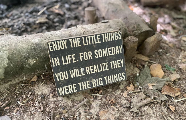Elm - Bell Tent 2-4 Person Anglesey, North Wales - Photo 9