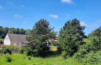 Au sable de l'estran - Foto 7