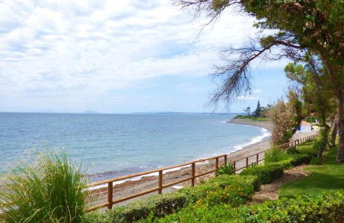 Selecta Family by the Sea - Photo 28