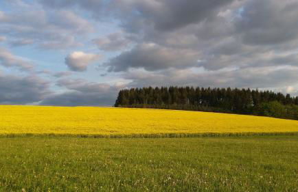Ferienwohnung- Freuen - Foto 16