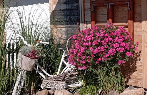 FeWo Am alten Holzplatz - Foto 20