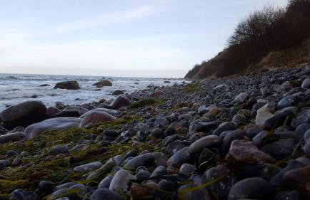 Ferienwohnung Urte in Putgarten , Kap Arkona Rügen - Foto 30