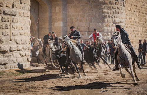 Studio pour deux avec terrasse aux portes de la Camargue - Foto 52