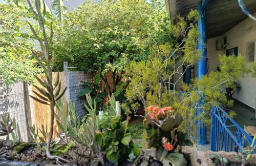 Refúgio Sereno São Seba - Foto 24