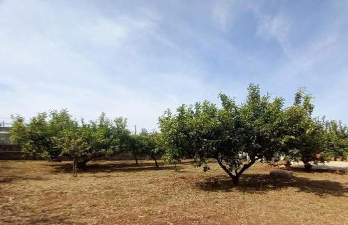 Villa Eagle - Foto 5