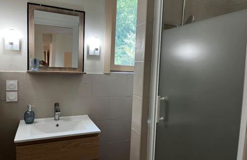 Gîte 8 personnes dans un écrin de verdure avec vue - Foto 5