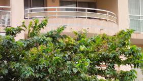 Appartement 2 Pièces avec une grande terrasse, 3 étoiles, Wifi, Box pour véhicule et vélos - Photo 5