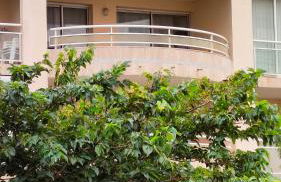 Appartement 2 Pièces avec une grande terrasse, 3 étoiles, Wifi, Box pour véhicule et vélos - Photo 5