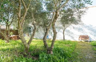 Casa de los Olivos, chimenea con horno 2 Hab 4 Pers Max - Foto 28