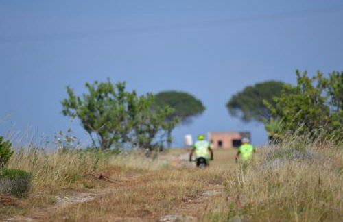Na Chicca e na Nicchia - Foto 62
